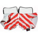 PR Test Wicket Keeping Gloves (Mens)